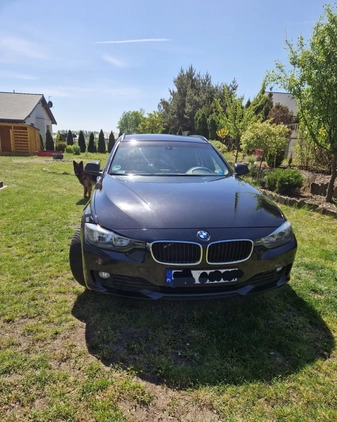 BMW Seria 3 cena 34800 przebieg: 335000, rok produkcji 2013 z Mrozy małe 667